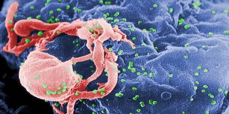 Tỷ lệ lây nhiễm HIV